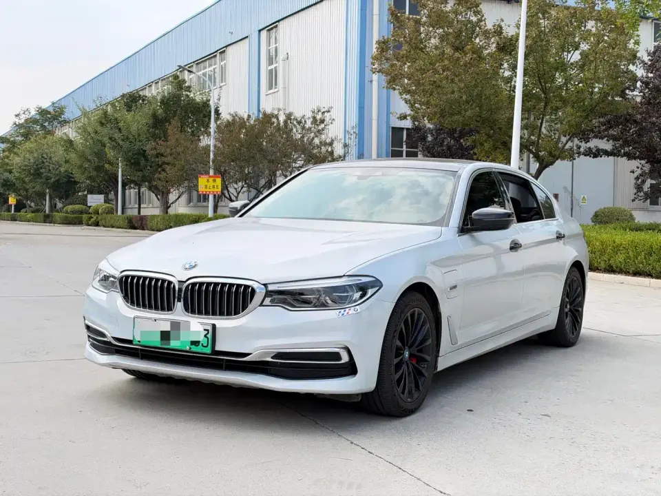 BMW 5 Series New Energy 530Le Luxury Package 2019