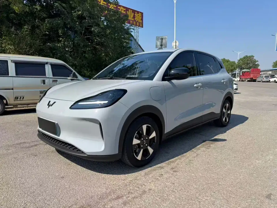 Wuling Motors Wuling Binguo PLUS Model 330km 5-Seater 2024