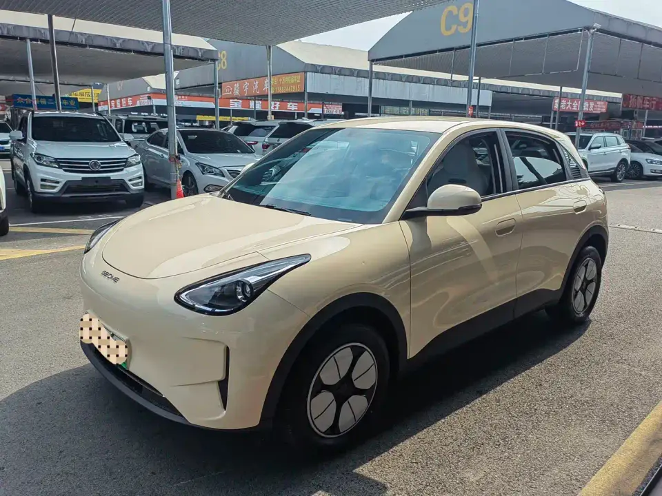 Geely Galaxy Starry Wish 310km Youth Edition 2025