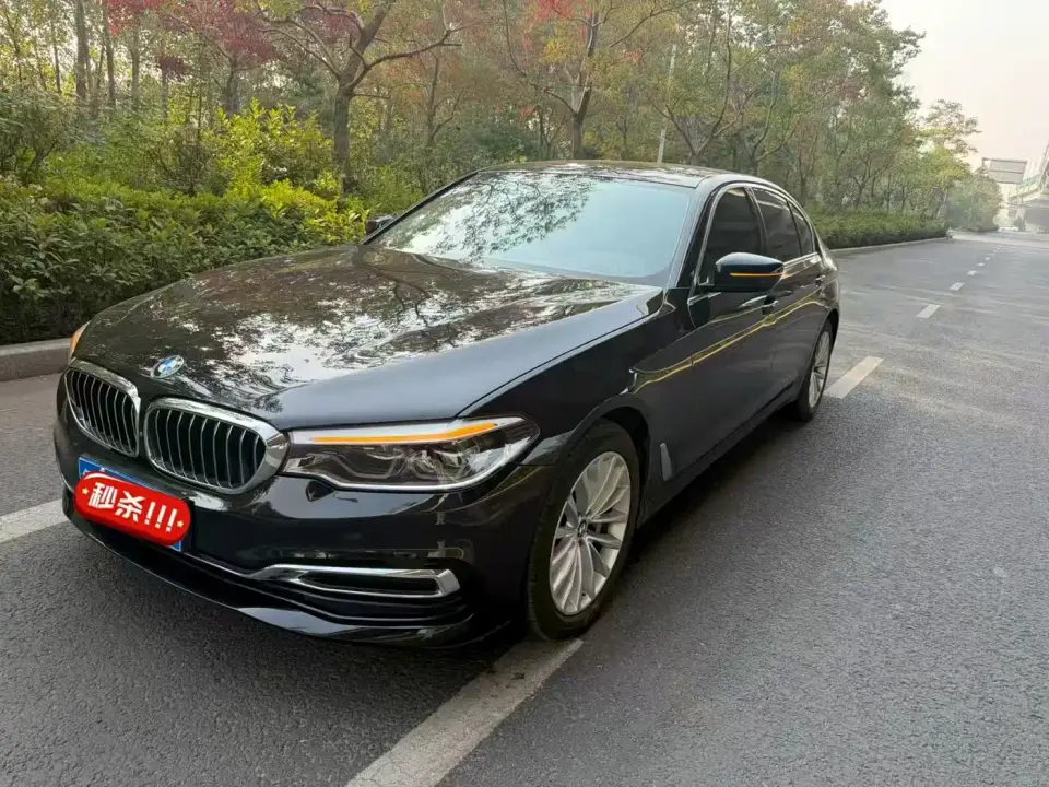 BMW 5 Series 530Li Premium Luxury Package 2020
