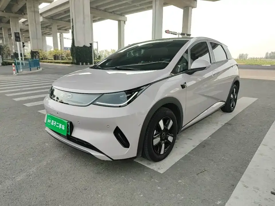 BYD Dolphin Smart Drive Edition 410km Fashion Version 2026