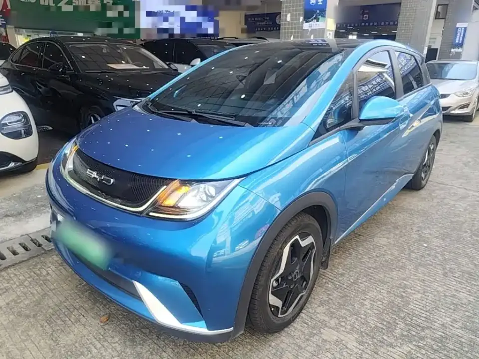BYD Dolphin Model 405km Fashion Edition 2022