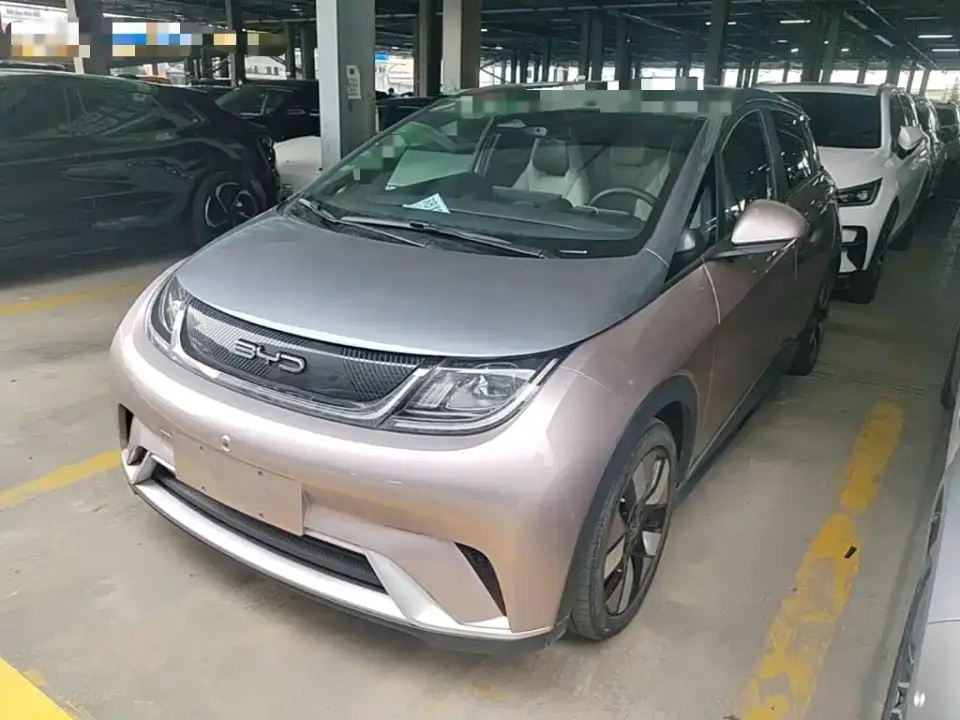 BYD Dolphin 401km Knight Edition 2022