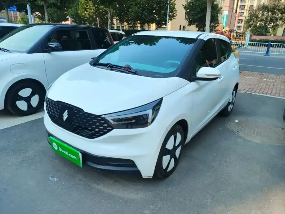 JMCG New Energy Yizhi EV3 Youth Edition 330KM Comfort 2024