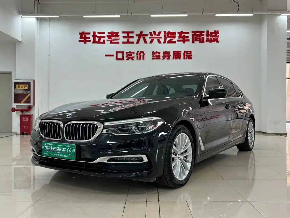 BMW 5 Series New Energy 530Le Luxury Package 2019