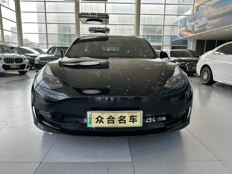 Tesla Model 3 Model Rear-Wheel Drive Version 2023
