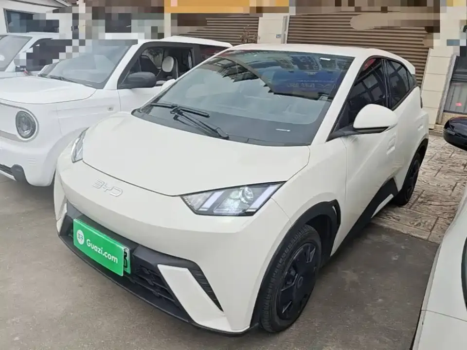 BYD Seagull 305km Vitality 2024