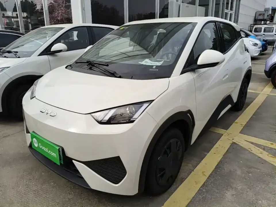 BYD Seagull Smart Drive Edition 305km Vitality Version 2026