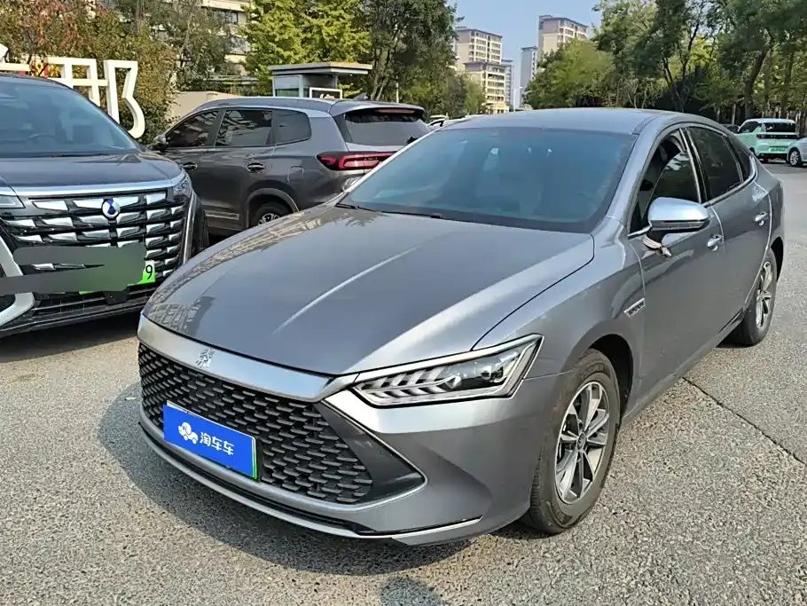 BYD Qin PLUS Glory Edition DM-i 55KM Leading 2024