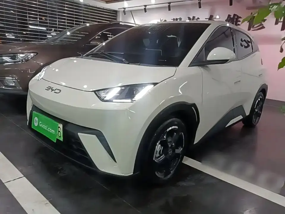 BYD Seagull Glory Edition 405km Soaring Edition 2024