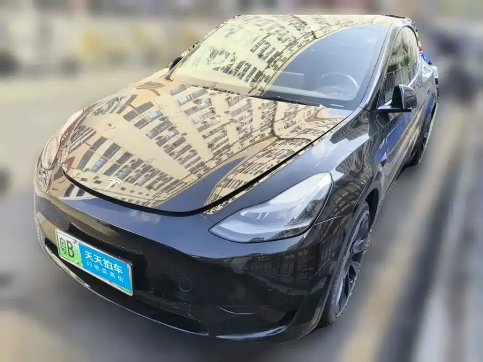 Tesla Model Y Rear-Wheel Drive Version 2022