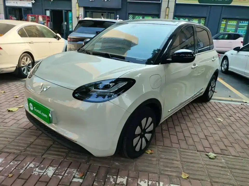 Wuling Motors Wuling Bingo 333km Comfort Edition 2024