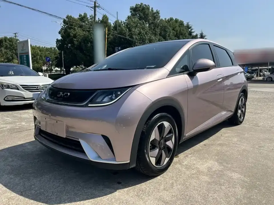 BYD Dolphin Glory Edition 420km Freedom Edition 2024