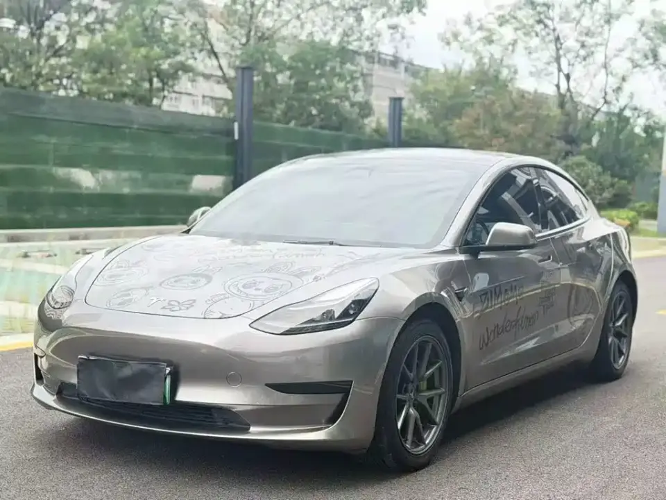 Tesla Model 3 Facelift Standard Range RWD Upgrade 3D1 2021