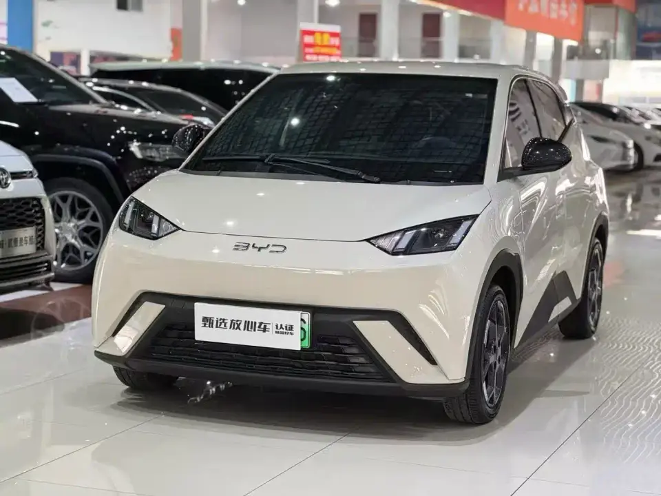BYD Seagull Glory Edition 305km Freedom Edition 2024