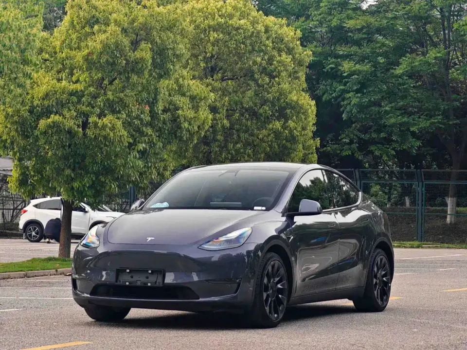 Tesla Model Y Model Long Range AWD 2021