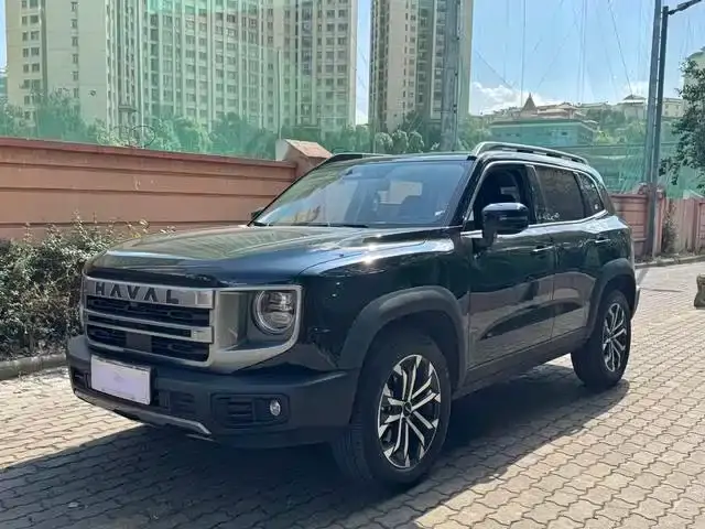 Haval Big Dog 1.5T DCT Border Collie Edition 2024