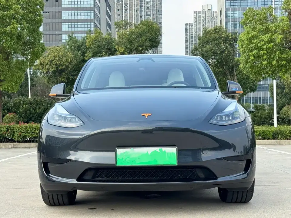 Tesla Model Y Rear-Wheel Drive Version 2025