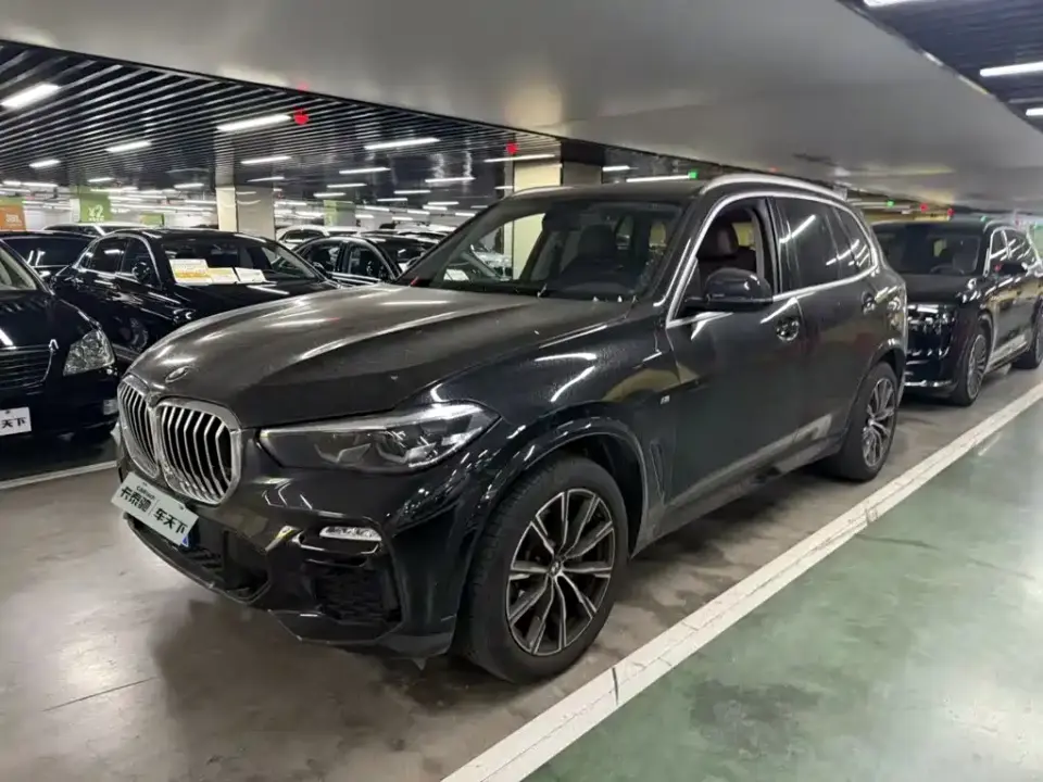 BMW X5 (Import) Facelift xDrive30i M Sport Package 2021