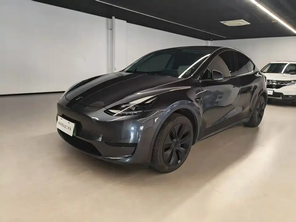 Tesla Model Y Rear-Wheel Drive Version 2024