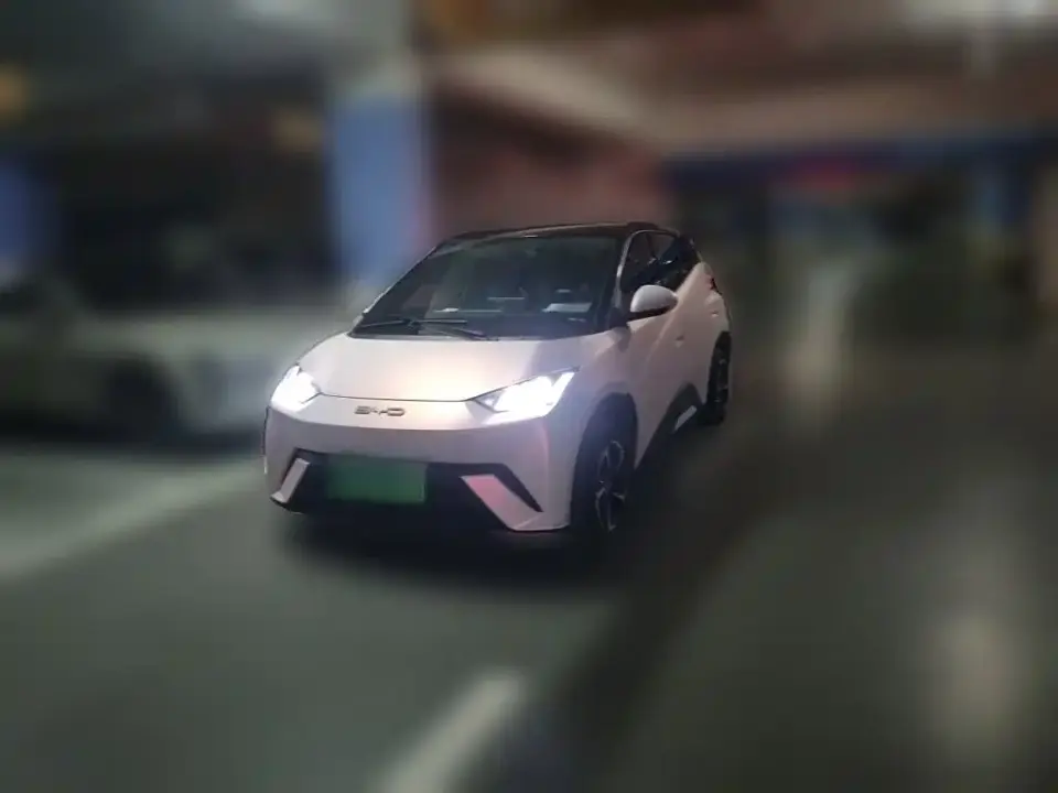 BYD Seagull Vitality Edition 2024