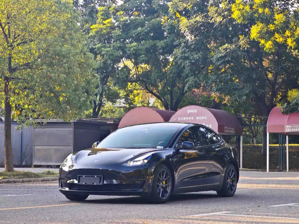 Tesla Model 3 Standard Range Rear-Wheel Drive Upgrade 2021