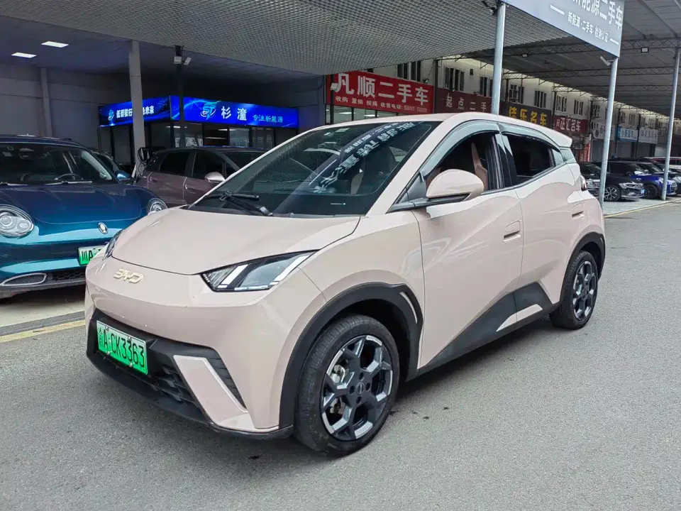 BYD Seagull 305km Freedom 2024