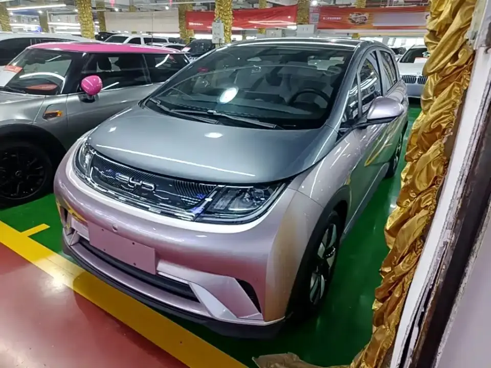 BYD Dolphin 401km Knight Edition 2024