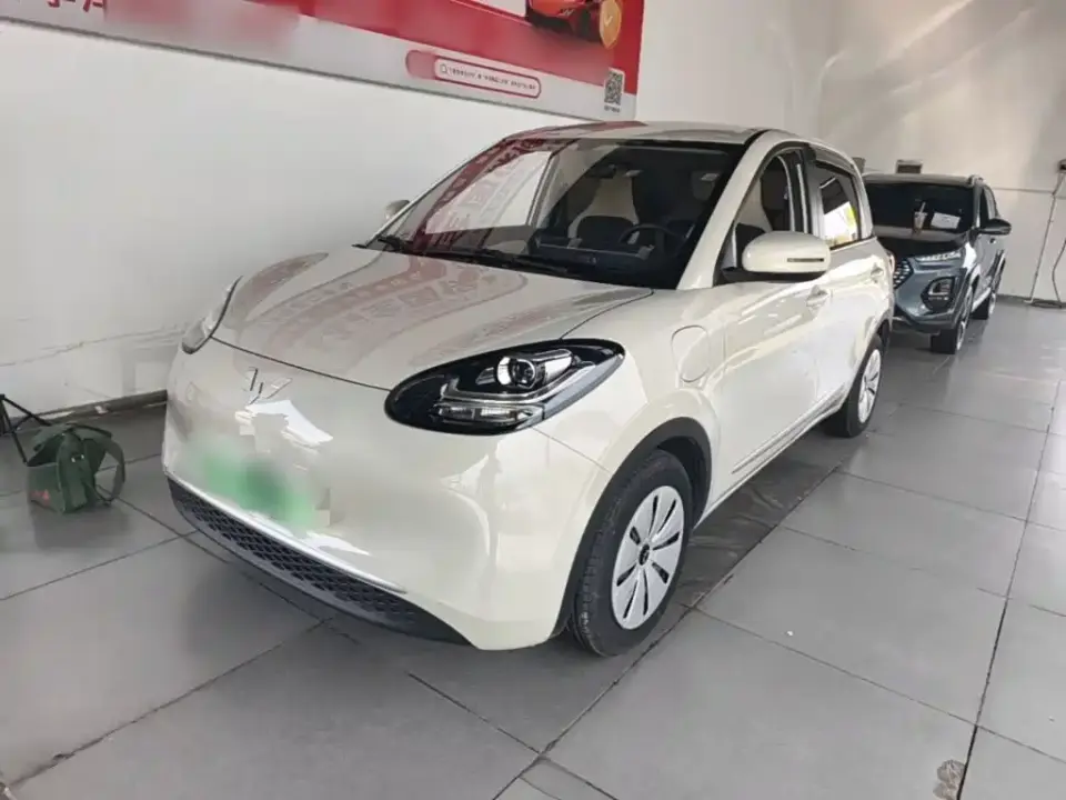 Wuling Motors Wuling Bingo 333km Quick Enjoy Version 2024