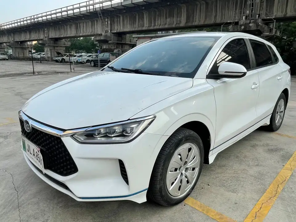 BYD e2 Standard Range Yue·Standard Model 2020