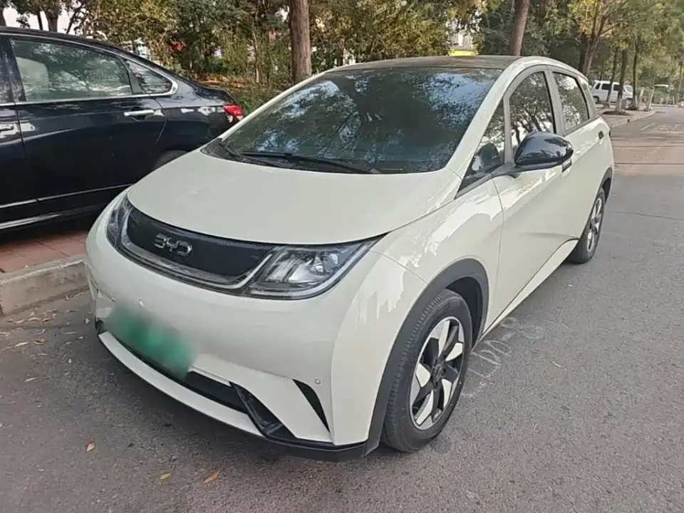 BYD Dolphin 420km Fashion Edition 2024