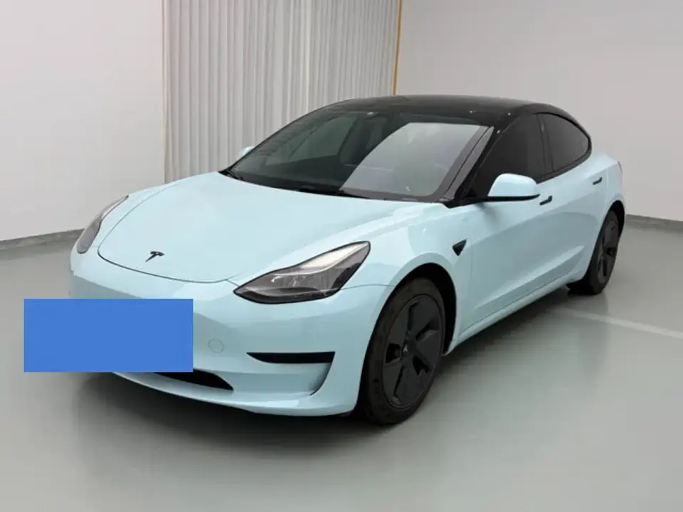 Tesla Model 3 Model Rear-Wheel Drive Version 2022