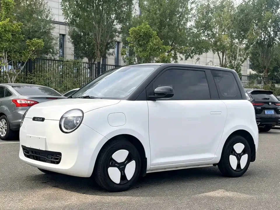 Changan Qiyuan Changan Lumin Model 205km Fragrant Edition 2024