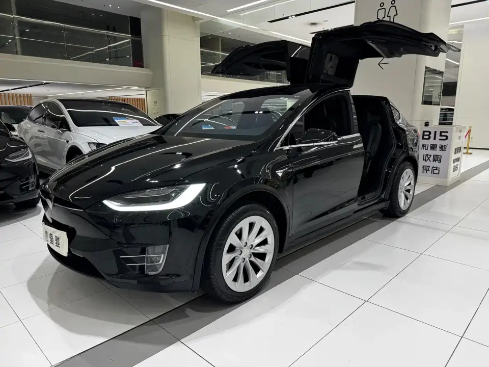 Tesla Model X Long Range Version 2019