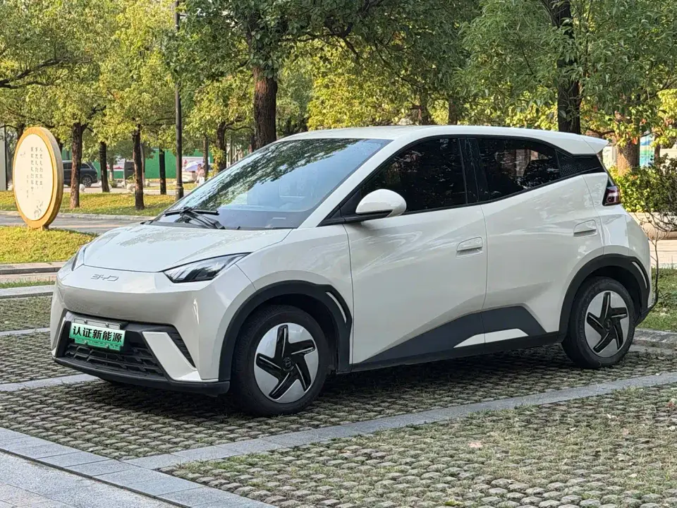 BYD Seagull Vitality Edition 2024