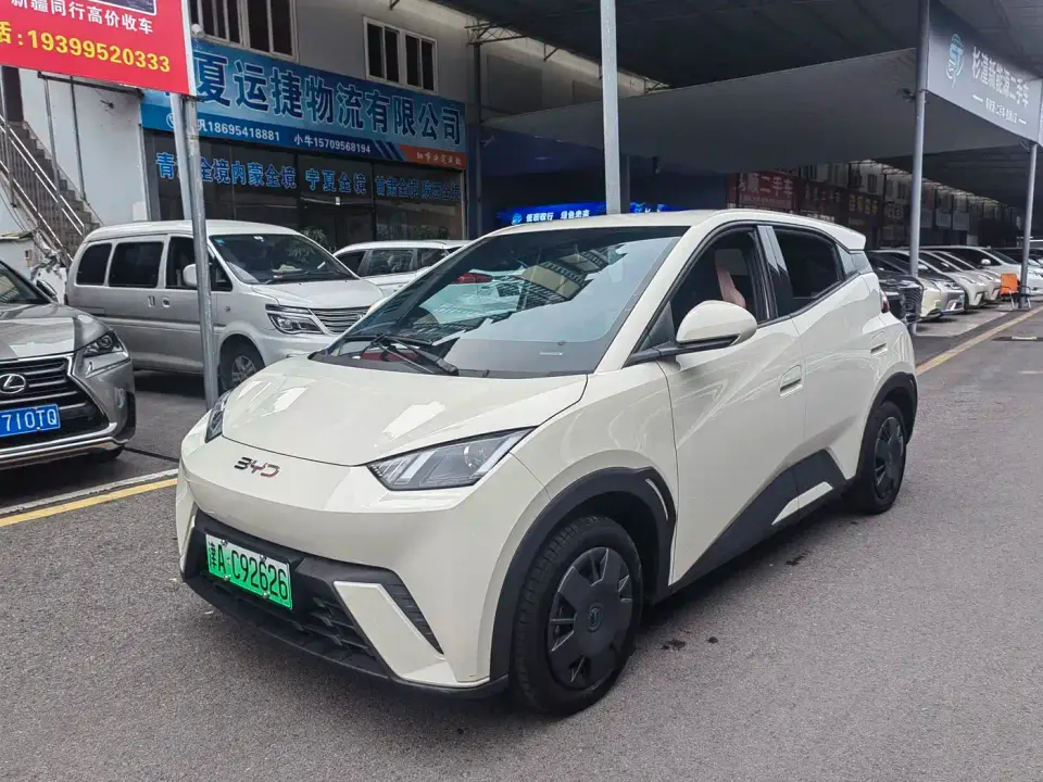 BYD Seagull Glory Edition 305km Vitality Edition 2024