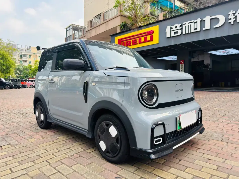 Geely Galaxy Panda Model Year 210km Panda Kart 2025