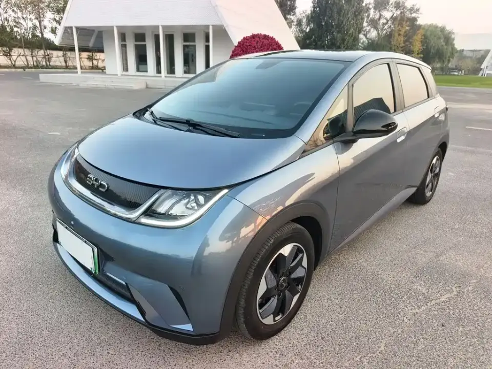 BYD Dolphin Glory Edition 420km Fashion Edition 2024