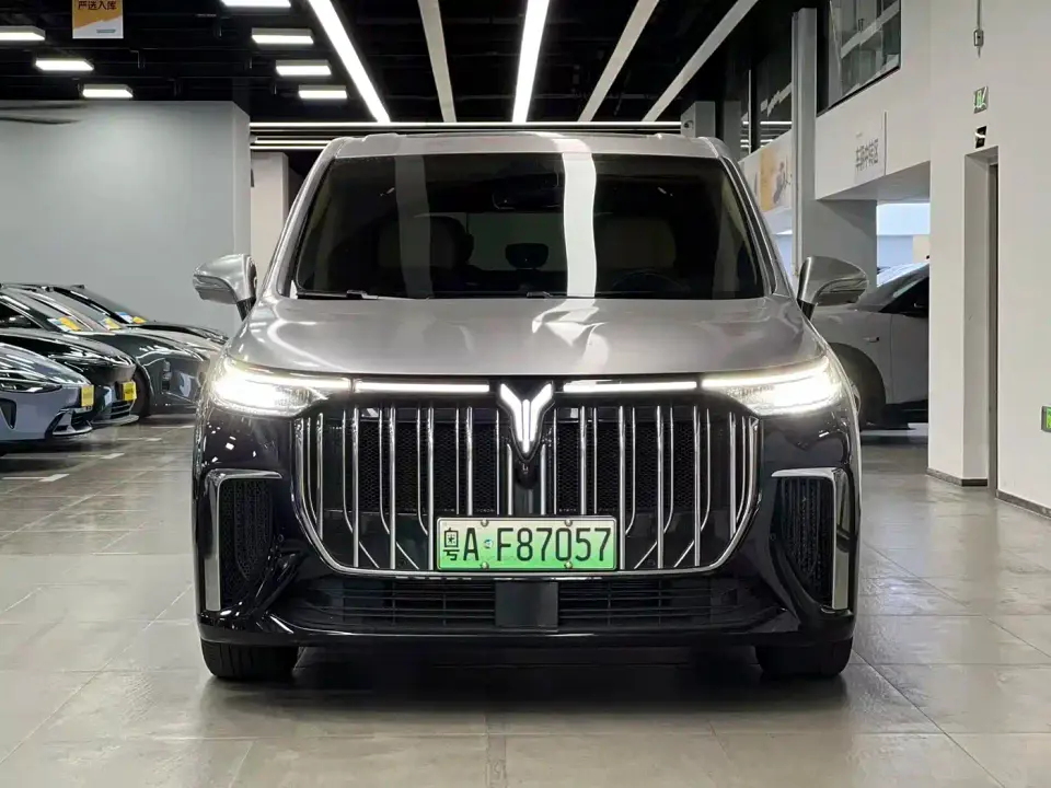 Voyah Auto Voyah Dreamer Low Carbon Edition Home 2023