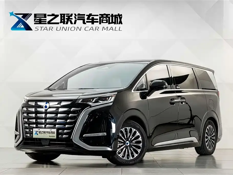 Denza D9 PIONEER 4-Seater Pioneer Edition 2024