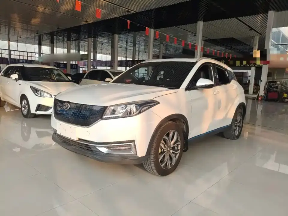Ruichi New Energy S513 Zhihao Model 2020