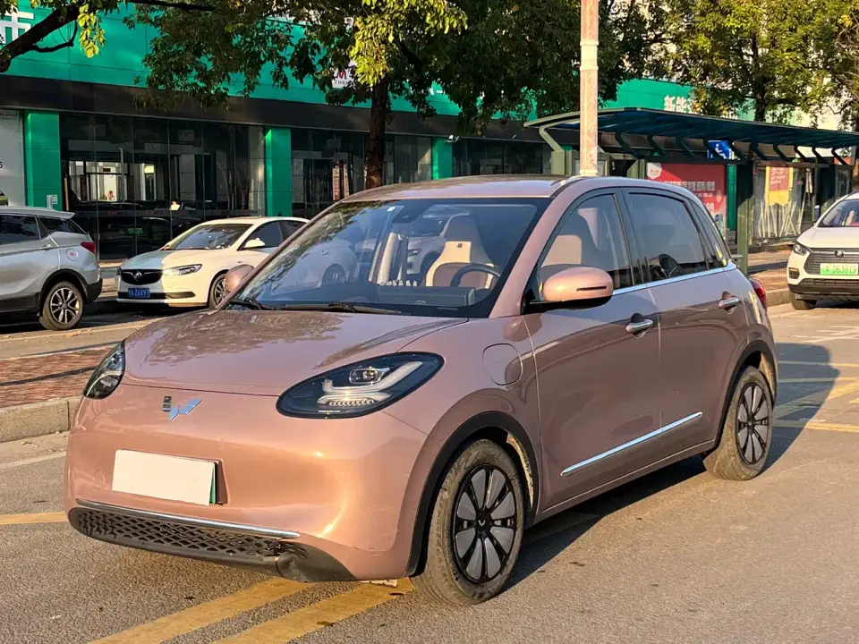 Wuling Motors Wuling Bingo 333km Joyful Version 2023