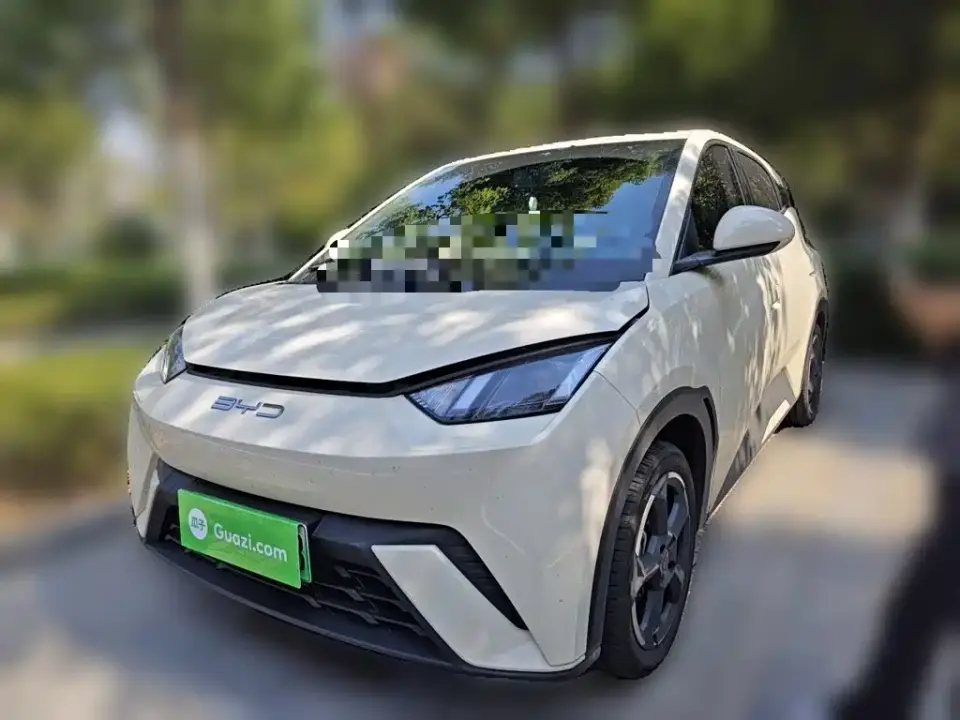 BYD Seagull Freedom Edition 2023