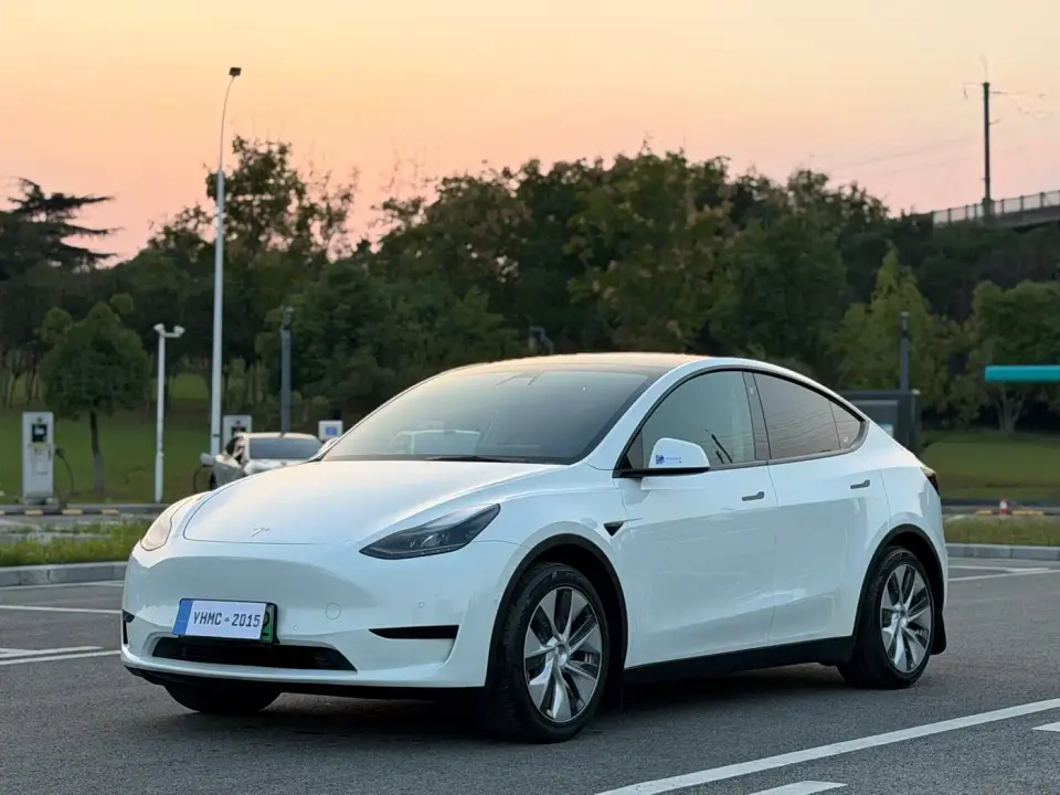 Tesla Model Y Rear-Wheel Drive Version 2022