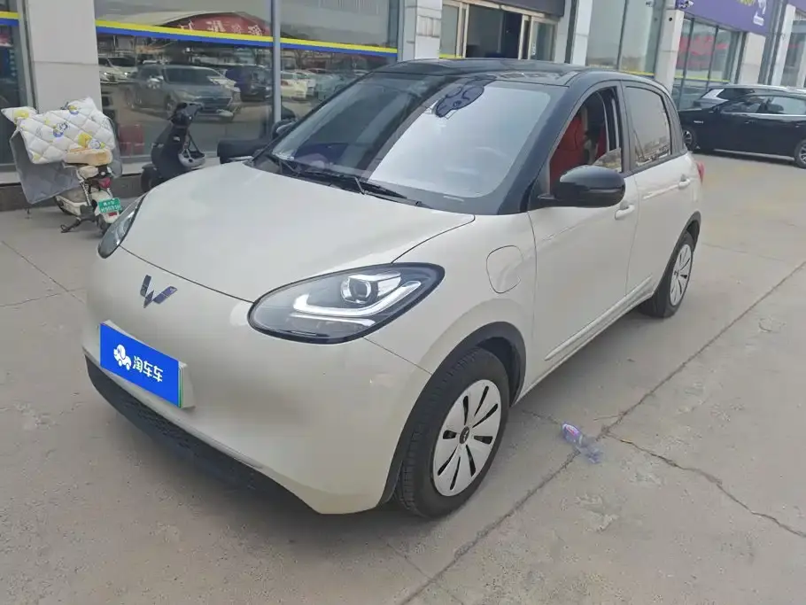 Wuling Motors Wuling Bingo Model 203km Light Enjoyment 2025