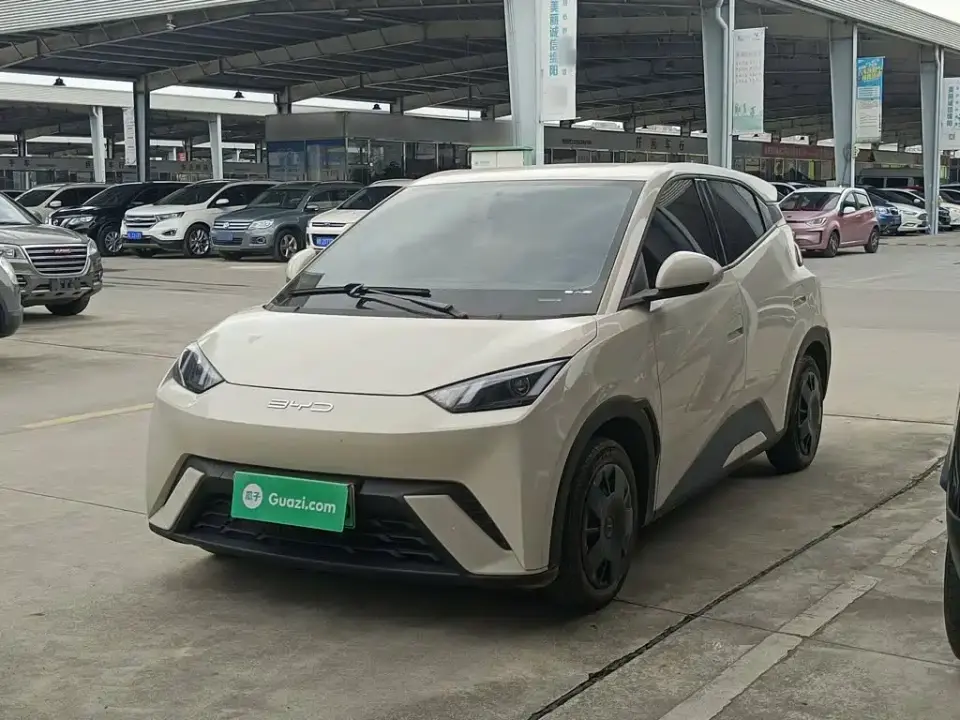 BYD Seagull Vitality Edition 2024
