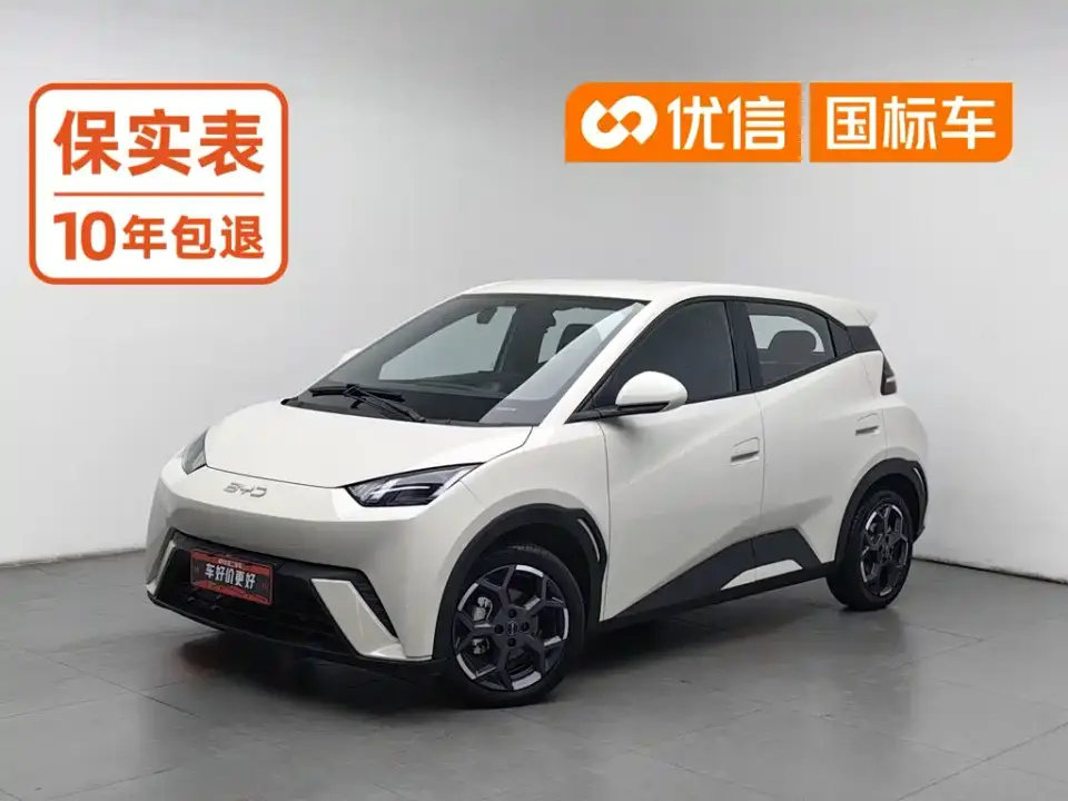 BYD Seagull 305km Freedom 2024
