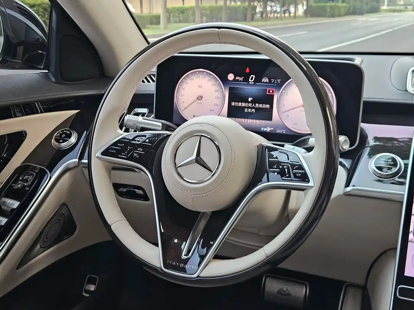 Mercedes-Benz Maybach S-Class Facelift S 480 4MATIC 2025 — фото 12