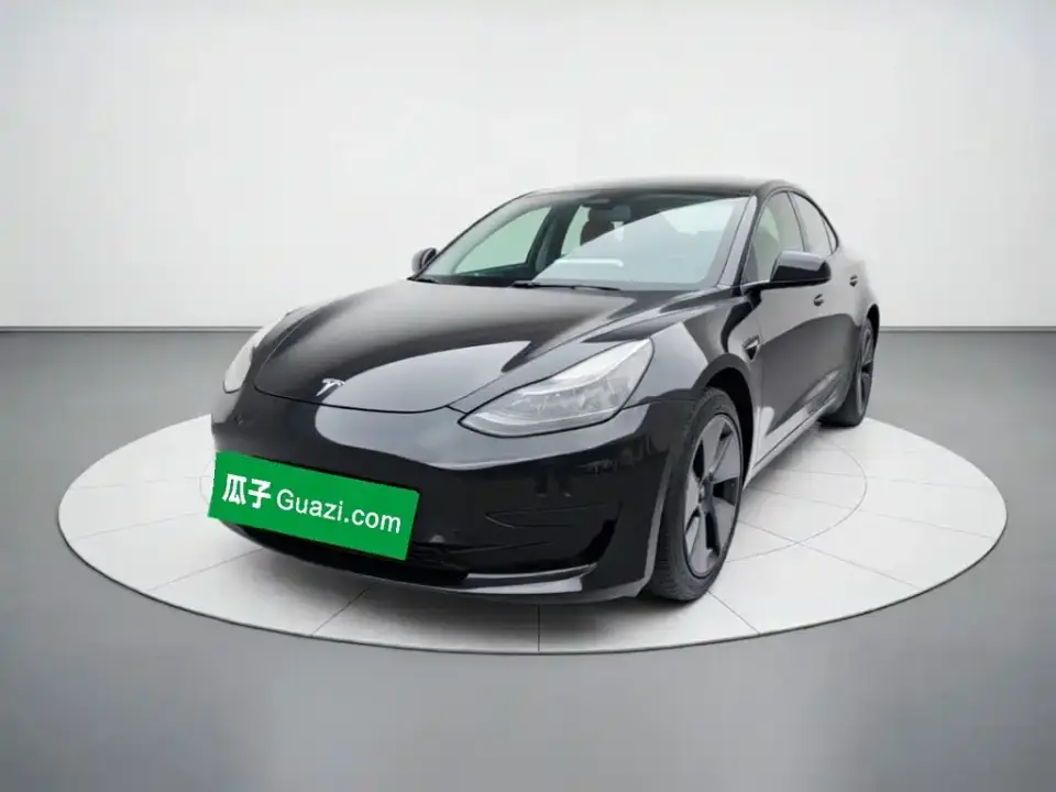Tesla Model 3 Standard Range Rear-Wheel Drive Upgrade 3D6 2021