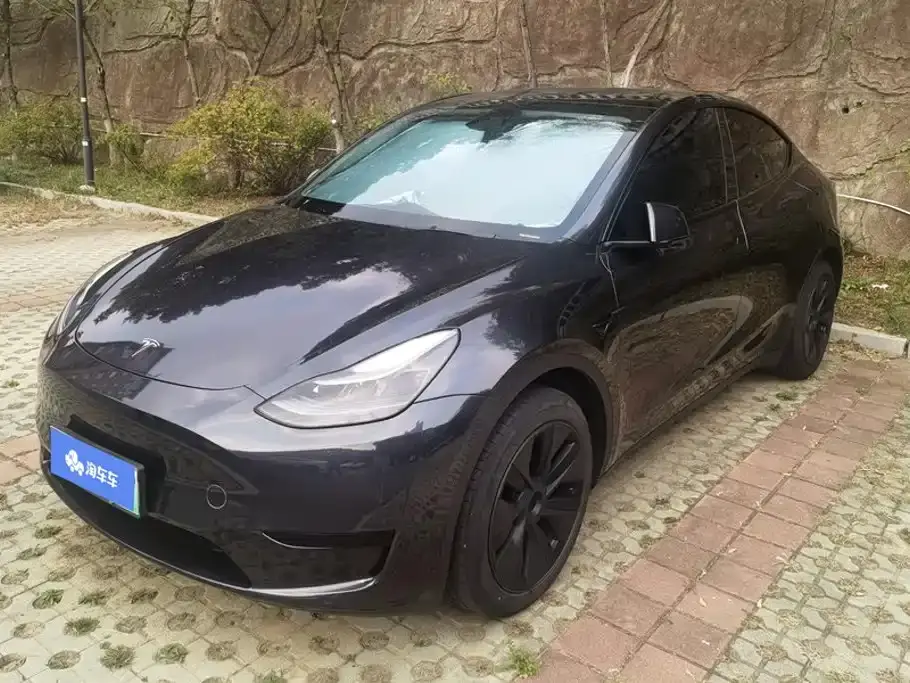 Tesla Model Y Rear-Wheel Drive Version 2024
